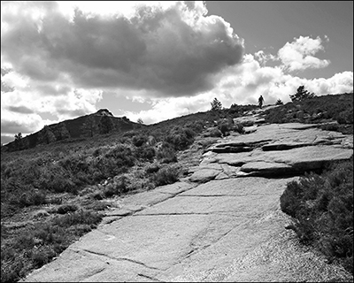  Aberdeen Photographer  Bennachie